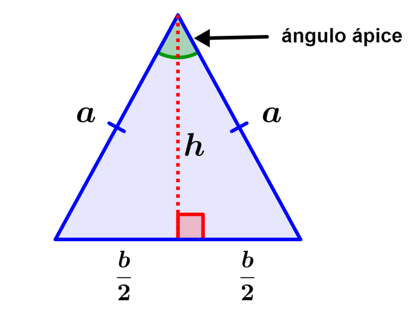 [Imagen de Triángulo]