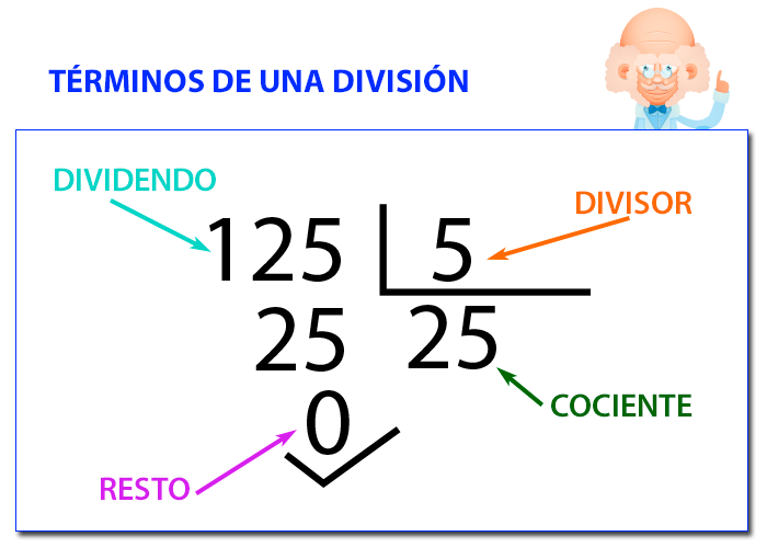[Partes de la division]